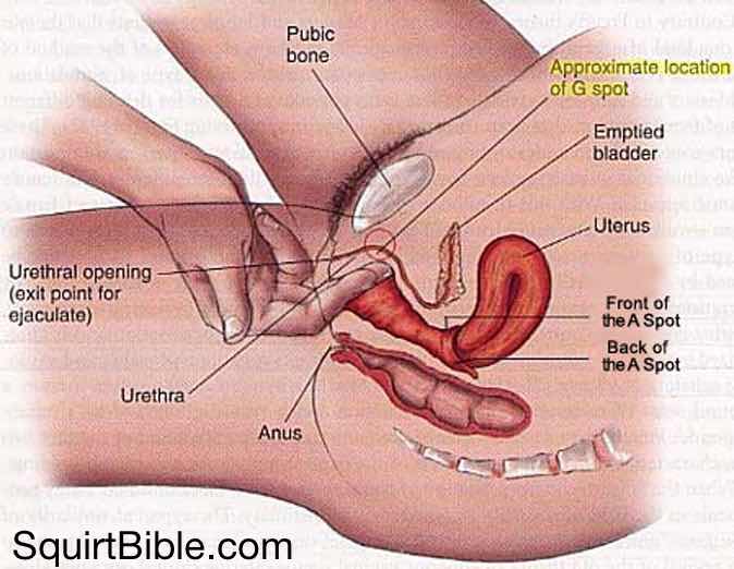 How To Make A Woman Squirting 84